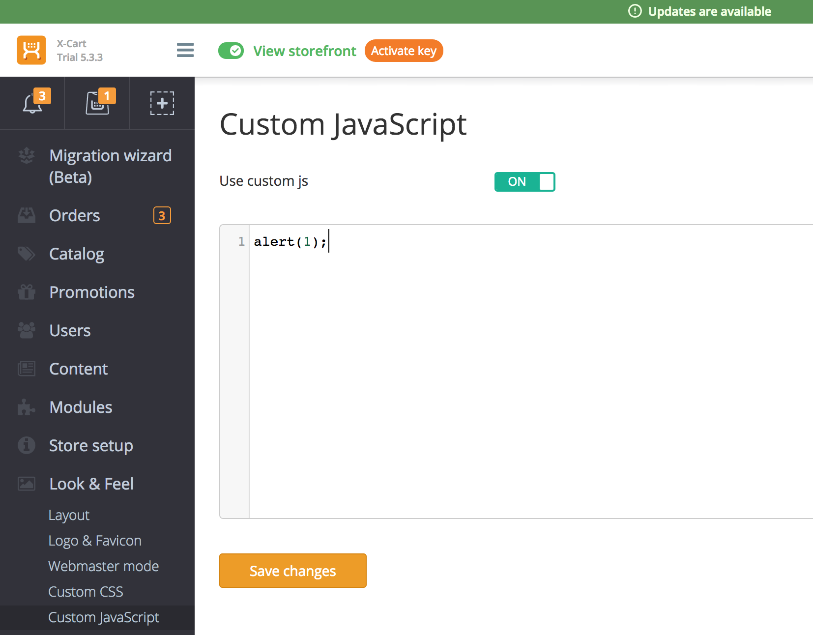 Custom JavaScript page